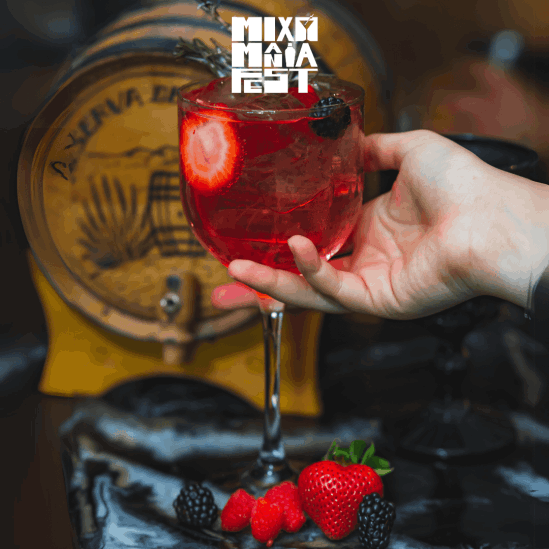 Mixomanía Fest